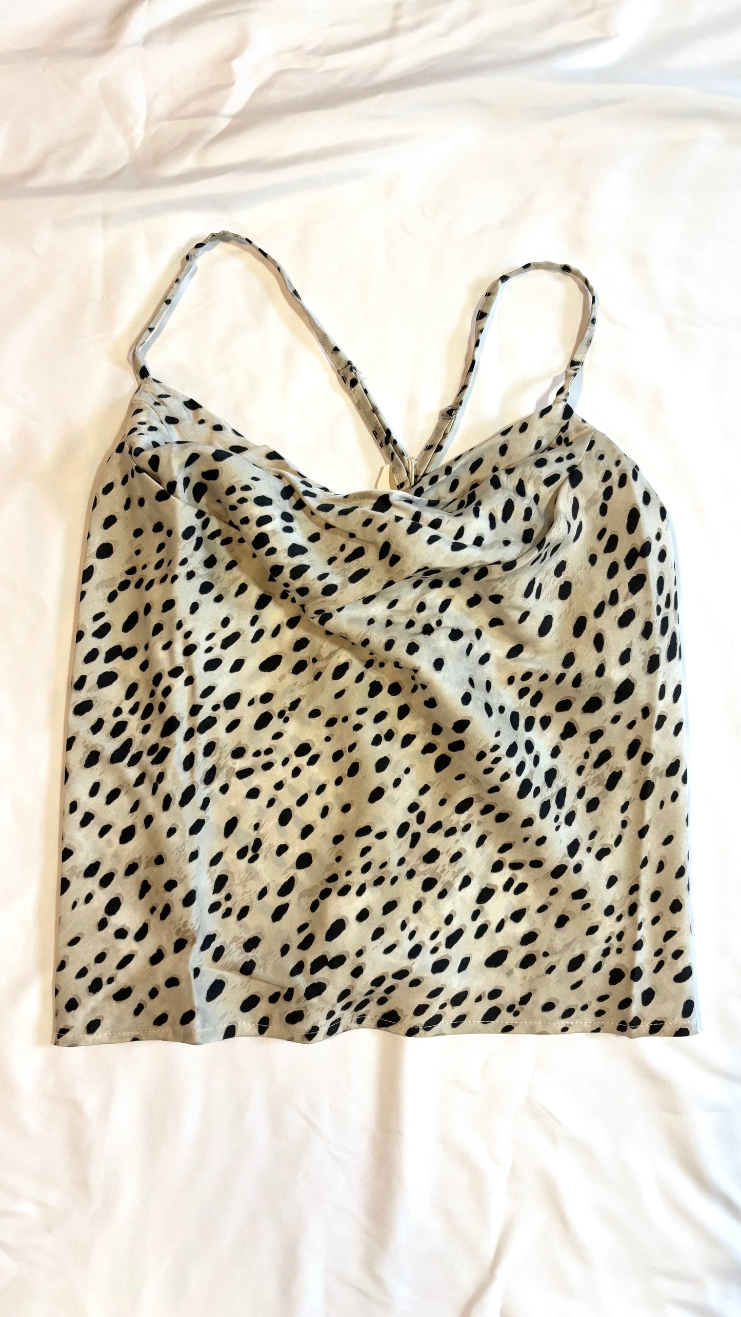 Cheetah Tank